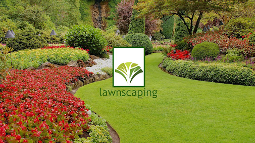 Gallery image 3 — best landscaping company in Texas