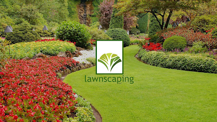 Gallery image 7 — best landscaping company in Texas