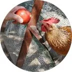 About yard drainage systems San Antonio