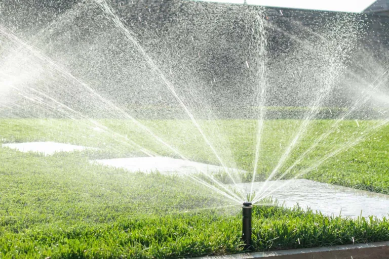 Gallery image 3 — sprinkler system check-up near me