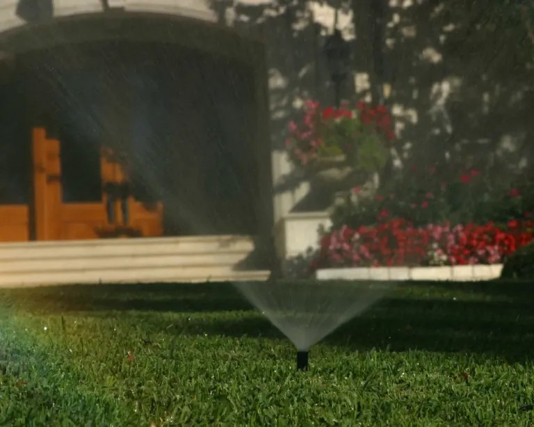 Gallery image 4 — sprinkler system check-up near me