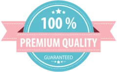 Gallery image 1 — steam vapor disinfection service NYC