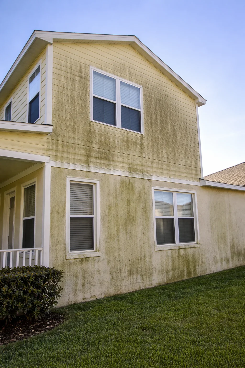Gallery image 4 — algae removal Austin roof