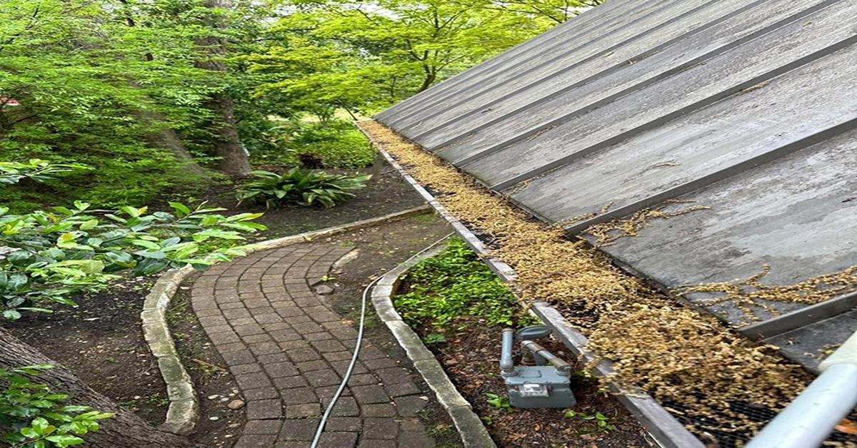 Gallery image 5 — roof cleaning near me