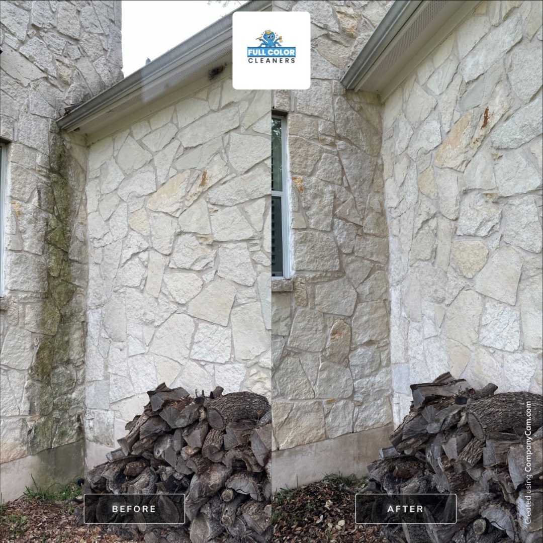 roof cleaning near me