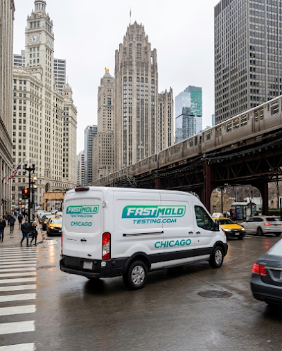 home mold inspection Downtown Chicago
