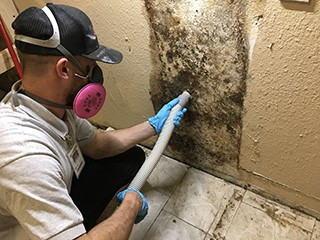 Gallery image 5 — truss cleaning Debary