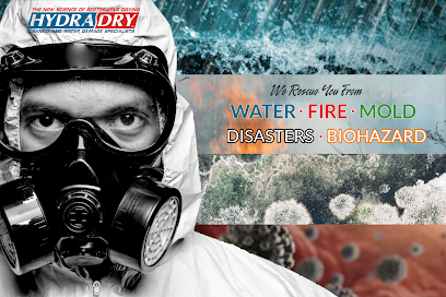 Gallery image 2 — mold remediation Texas