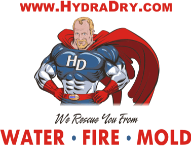 About mold remediation Texas
