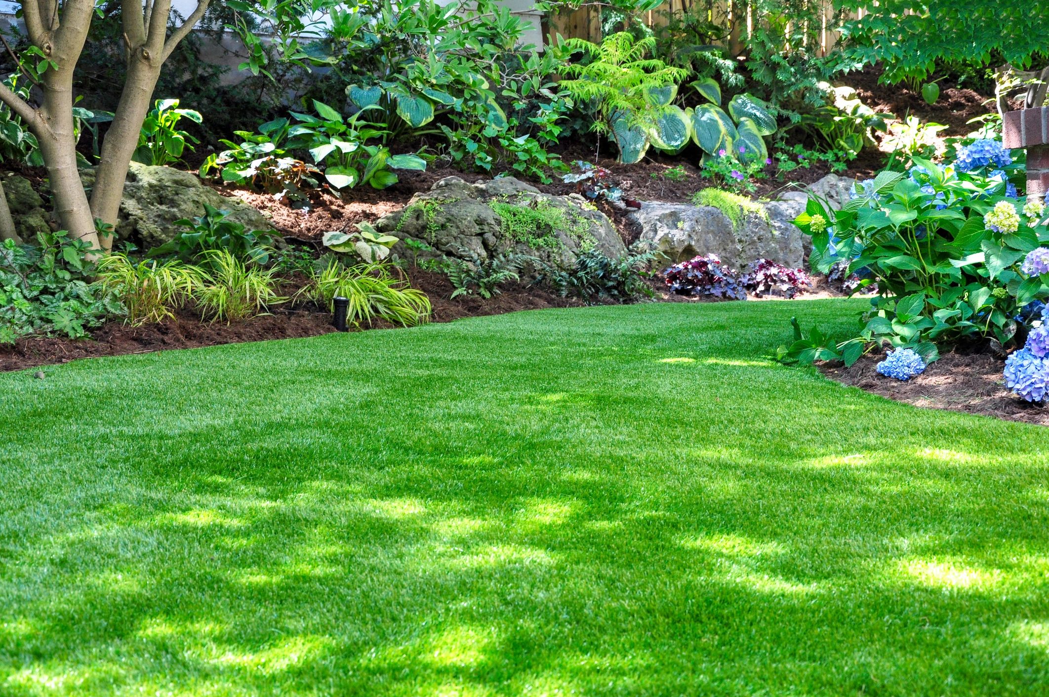 Gallery image 5 — seasonal lawn maintenance Runyon Lawn Care