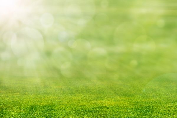 seasonal lawn maintenance Runyon Lawn Care