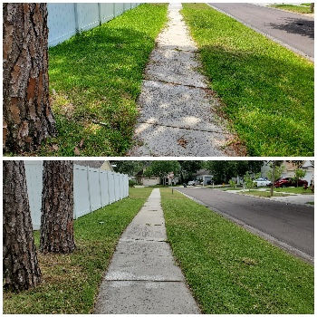 Gallery image 2 — affordable lawn mowing Tampa