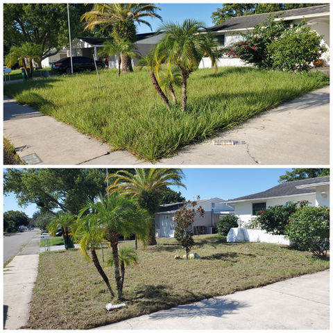 Gallery image 7 — affordable lawn mowing Tampa