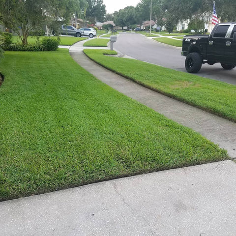 Gallery image 5 — affordable lawn mowing Tampa