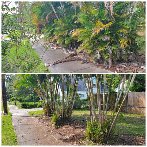 Gallery image 1 — affordable lawn mowing Tampa