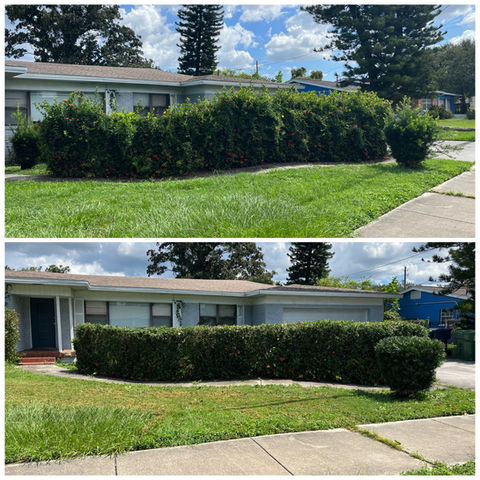 affordable lawn mowing Tampa
