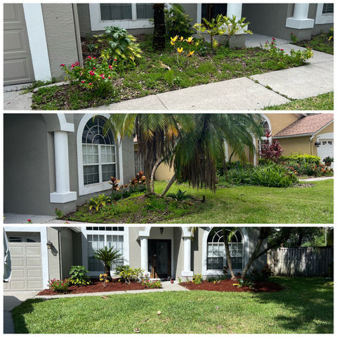 landscape design Tampa