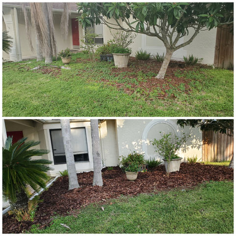Gallery image 6 — affordable lawn mowing Tampa