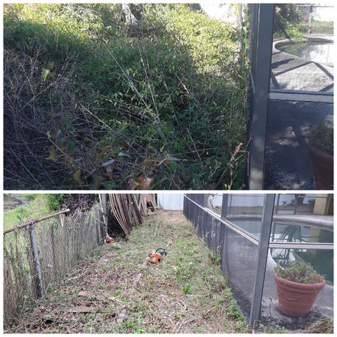 Gallery image 3 — affordable lawn mowing Tampa