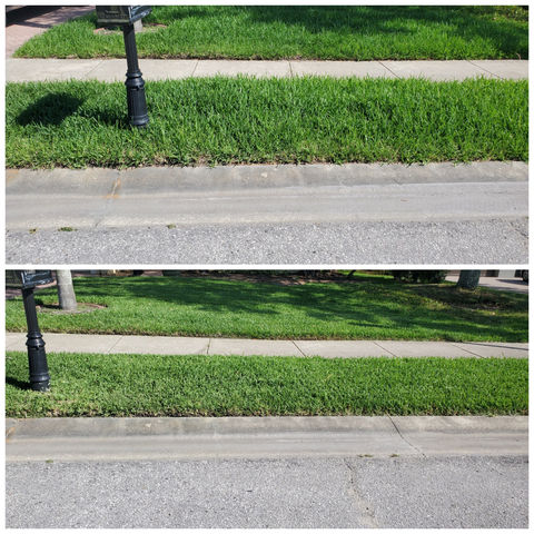 About affordable lawn mowing Tampa