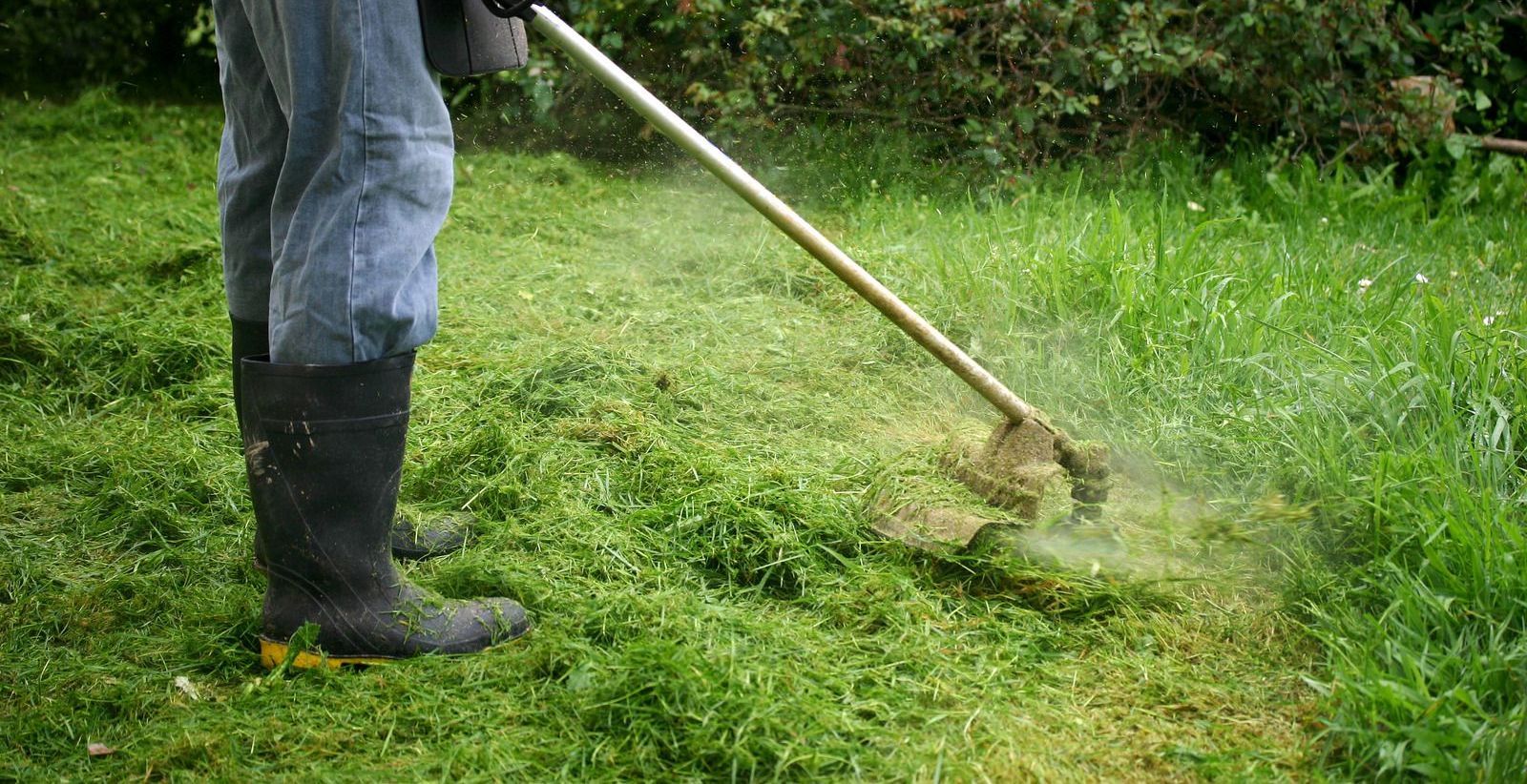 Gallery image 6 — weed eating near me