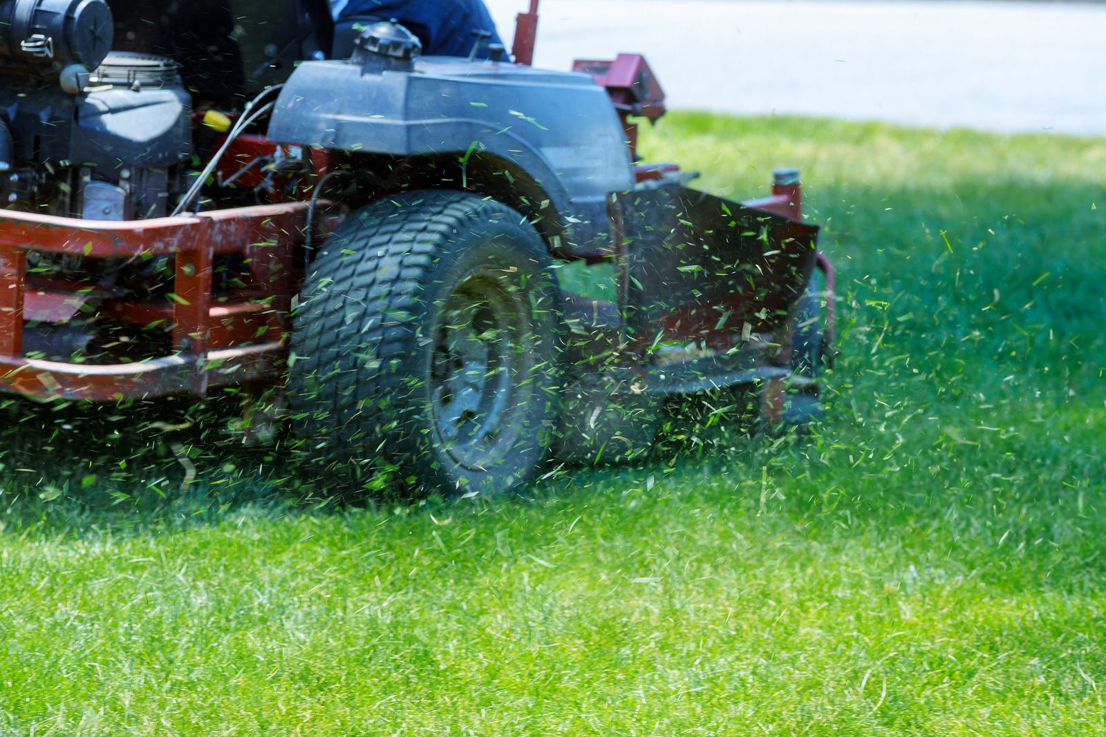 Gallery image 5 — weed eating near me