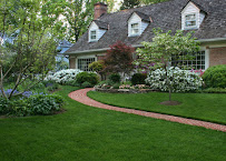 Gallery image 1 — weed control Mulberry