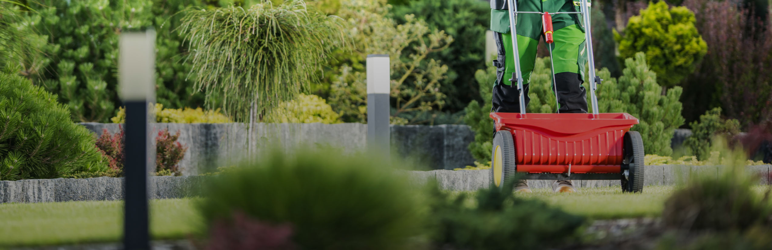 termite treatment LadyBug Pest and Lawn