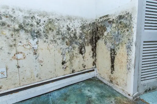 Gallery image 5 — flood damage cleanup Denver