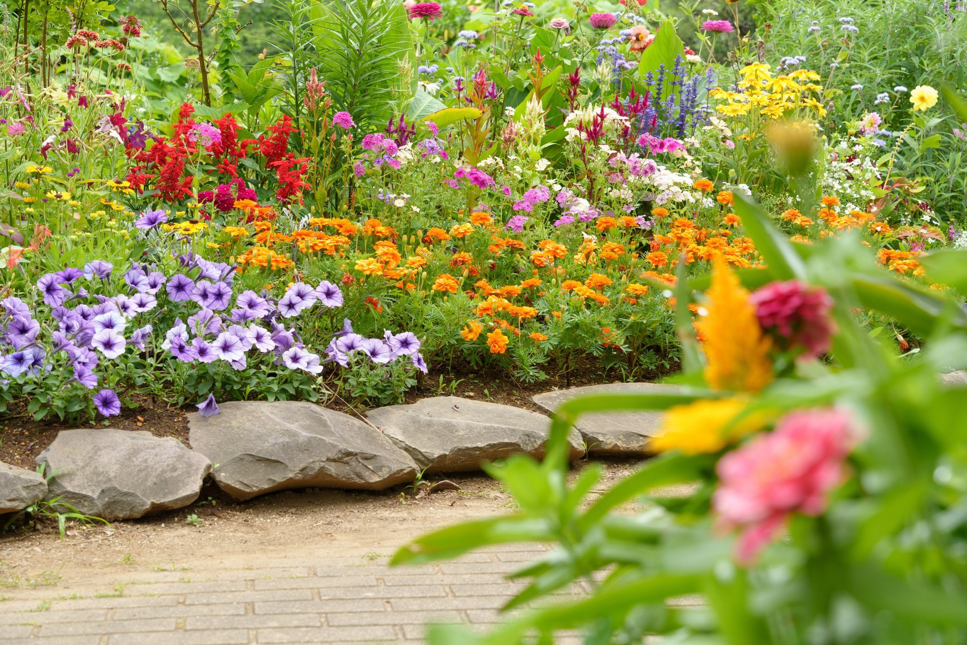affordable hardscape solutions Thornton