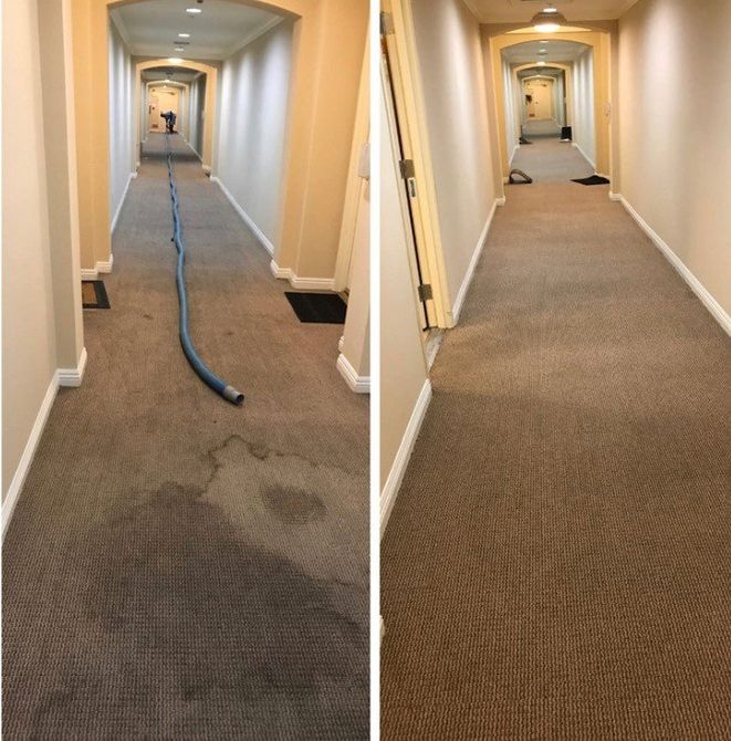 Gallery image 10 — deep cleaning upholstery North Hollywood
