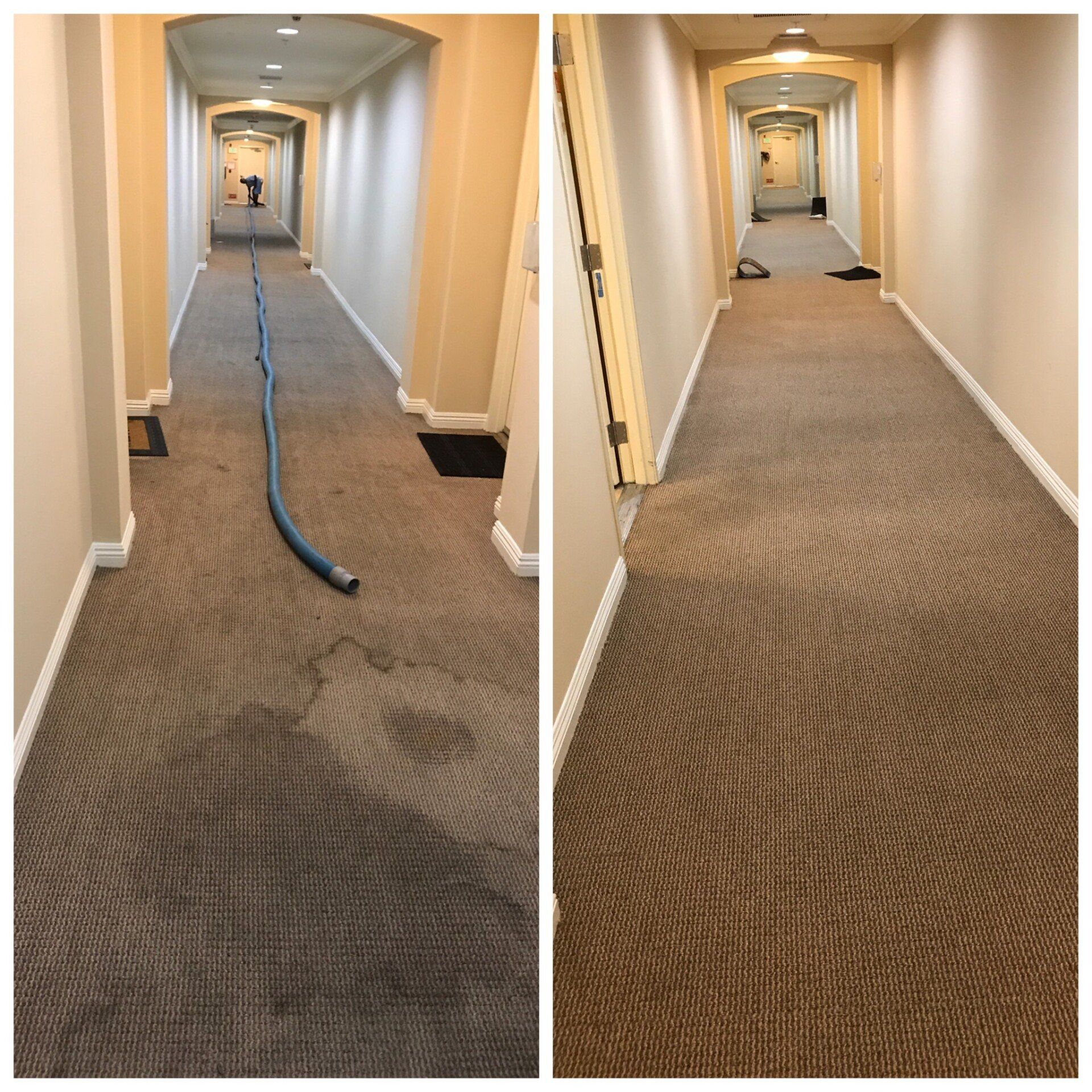 Gallery image 6 — deep cleaning upholstery North Hollywood