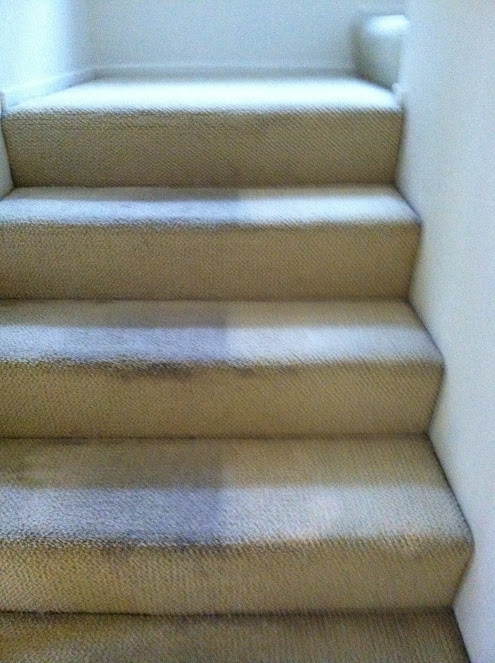 Gallery image 4 — upholstery cleaning near me