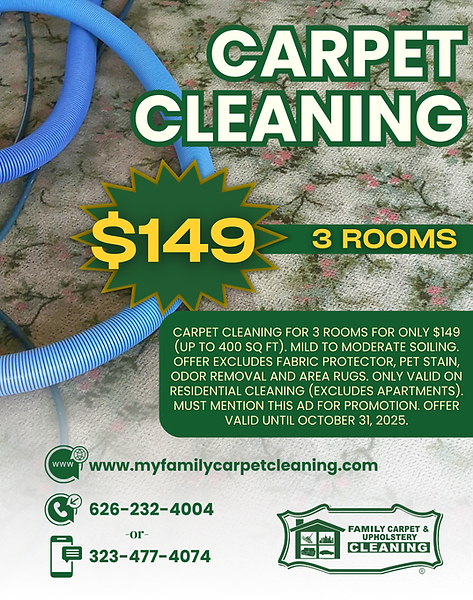 Gallery image 2 — upholstery cleaning near me