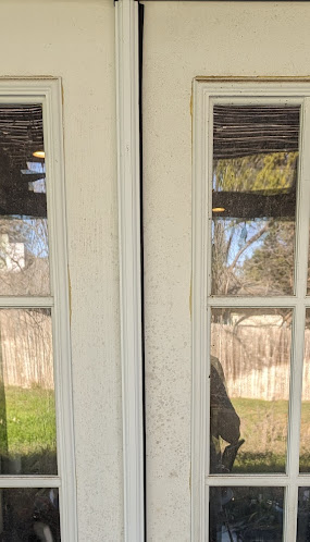 exterior window cleaning in Bee Cave