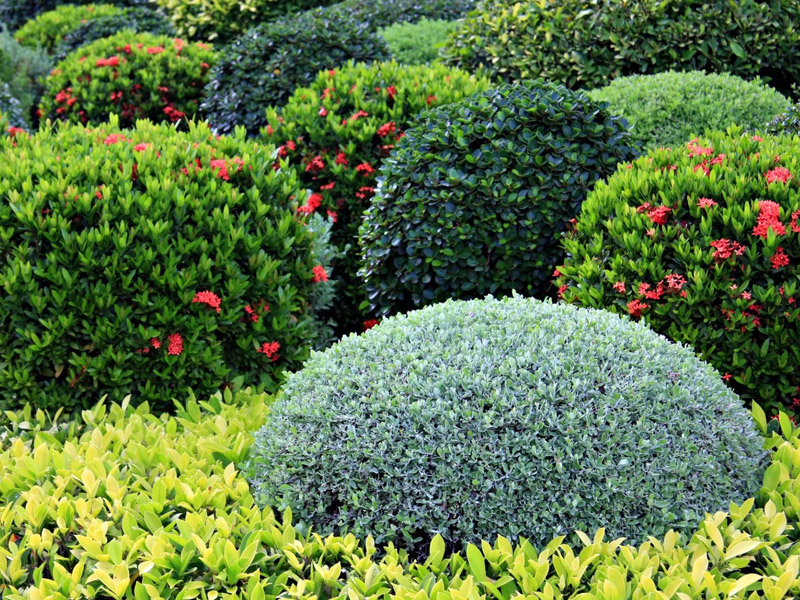 Gallery image 6 — sprinkler system installation Houston