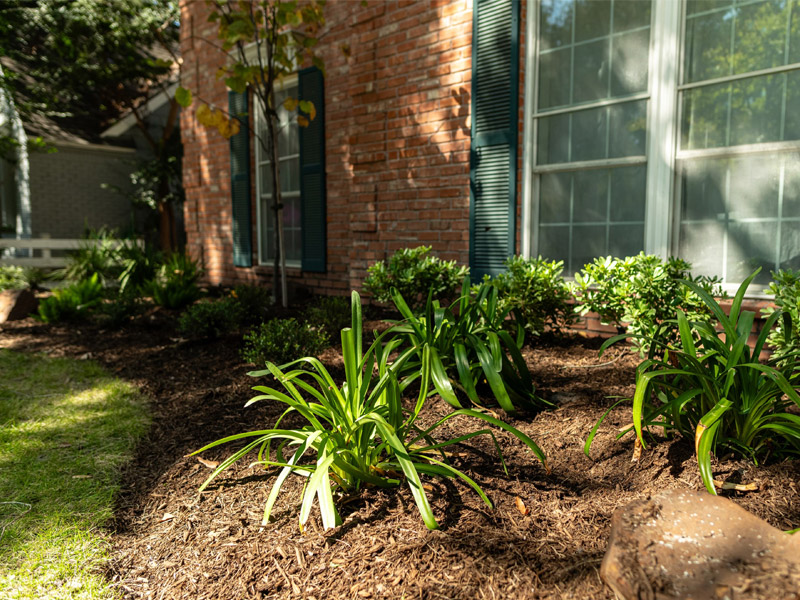 Gallery image 4 — sprinkler system installation Houston