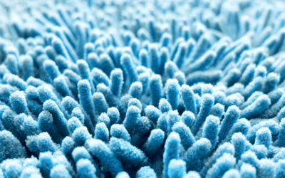 Gallery image 1 — carpet cleaning %AREA%