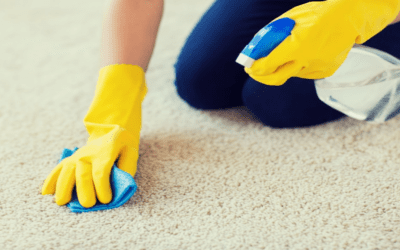 Gallery image 4 — carpet cleaning %AREA%