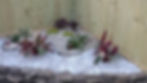 Gallery image 4 — Luxury Landscaping