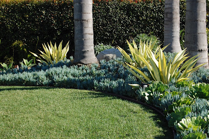 Gallery image 13 — modern landscape architecture San Diego