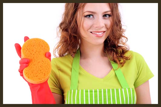 Gallery image 8 — affordable house cleaning in Florida