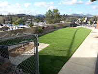 Gallery image 4 — artificial grass maintenance Superior Turf n Ivy