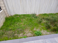 Gallery image 4 — weekly lawn maintenance Colton's lawn care and landscaping