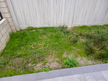 Gallery image 2 — weekly lawn maintenance Colton's lawn care and landscaping
