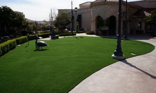 Gallery image 10 — best artificial grass installation Superior Turf and Ivy