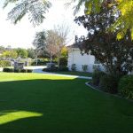 Gallery image 9 — best artificial grass installation Superior Turf and Ivy