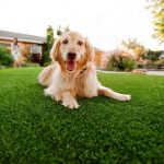 Gallery image 6 — best artificial grass installation Superior Turf and Ivy