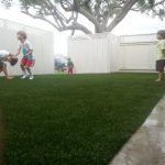 Gallery image 4 — best artificial grass installation Superior Turf and Ivy