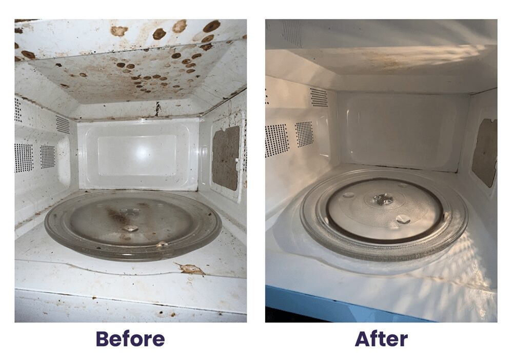 Gallery image 3 — Royal Hive Cleaning